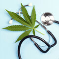 Le cannabis thérapeutique en expérimentation
