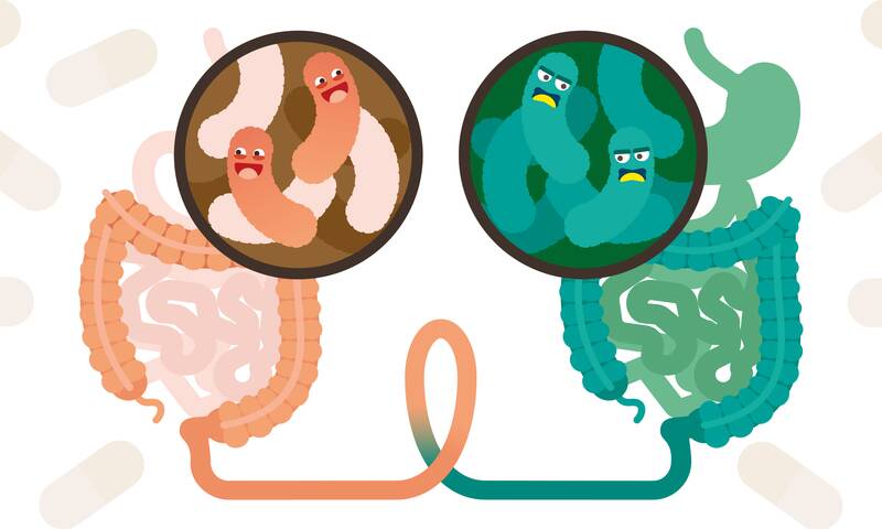 Transplantation fécale Que soigne-t-elle vraiment&nbsp;?