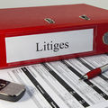 Les sociétés les plus signalées dans les litiges traités