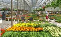 Acheter en jardinerie Un bon plan ?