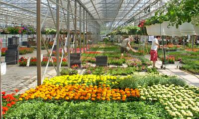Acheter en jardinerie Un bon plan ?