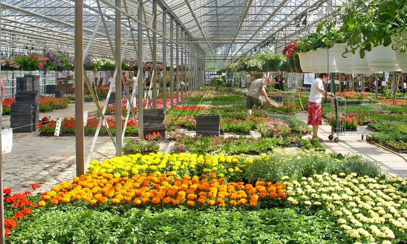 Acheter en jardinerie Un bon plan ? Acheter en jardinerie Un bon plan ?