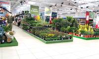 Acheter ses fleurs et plantes en grande surface Prix serrés, qualité inégale