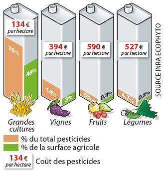 Les cultures grosses utilisatrices de pesticides
