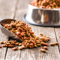 Aliments pour chiens et chats •
Une gamelle de fausses promesses