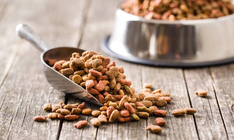 Aliments pour chiens et chats - Une gamelle de fausses promesses