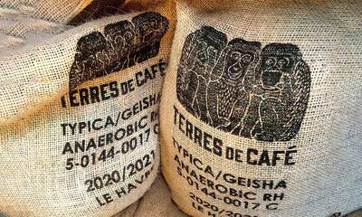 Cafés de spécialité À la recherche du goût et du sens