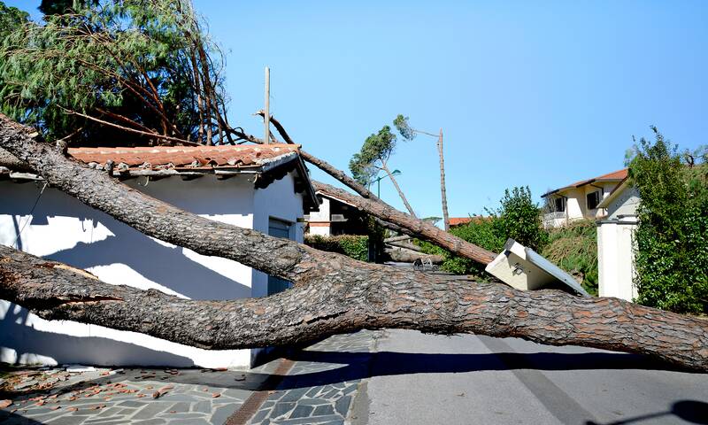 Catastrophes naturelles Et si l’État devenait assureur ?