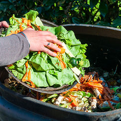 Test EDA Seau à compost - Seau à compost ou bioseau - UFC-Que Choisir