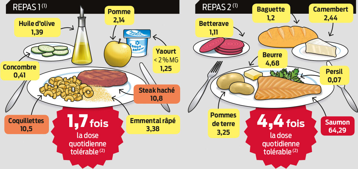 infographie dioxines