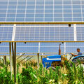 Énergie solaire •
Le photovoltaïque au service de l’agriculture ?