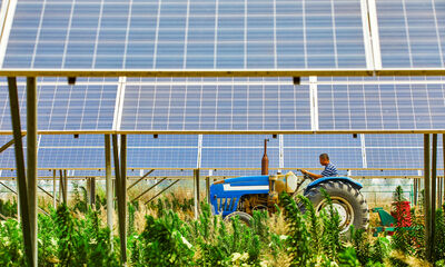 Énergie solaire Le photovoltaïque au service de l’agriculture ?