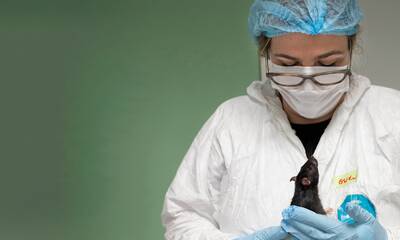 Expérimentation animale Ça bouge dans les labos