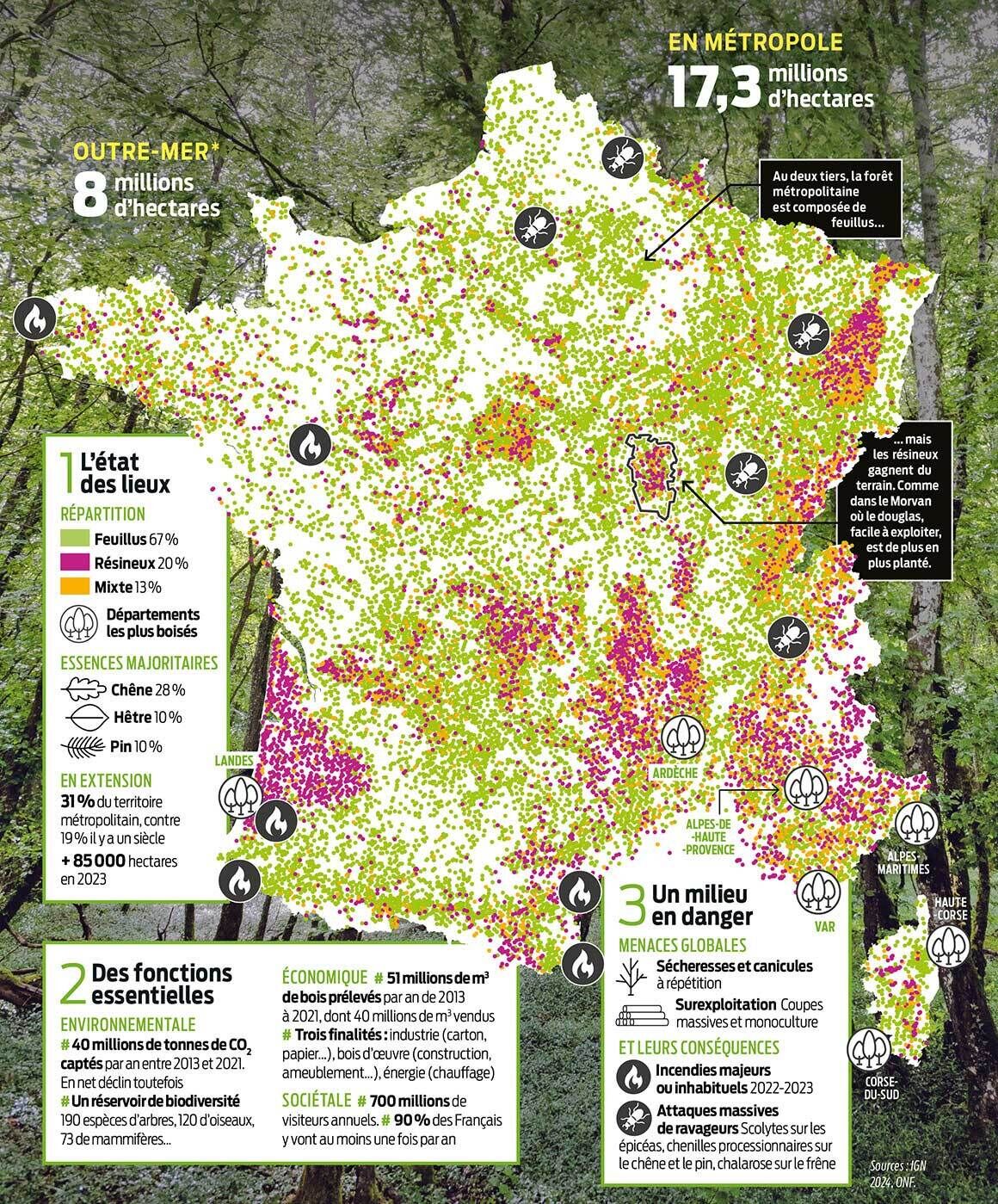 Visuel_QC637_foret_sante_arbre_se_degrade_carte