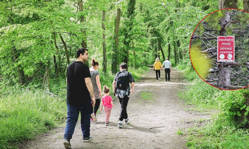 Forêts françaises Se promener dans les bois, un délit ?