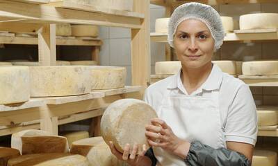 Fromages AOP Vers la fin du lait cru ?