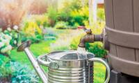 Jardinage Faire évoluer ses pratiques avec le changement climatique