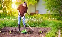 Jardinage Les alternatives écologiques et économiques