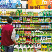 Jardineries Toujours accros aux pesticides !