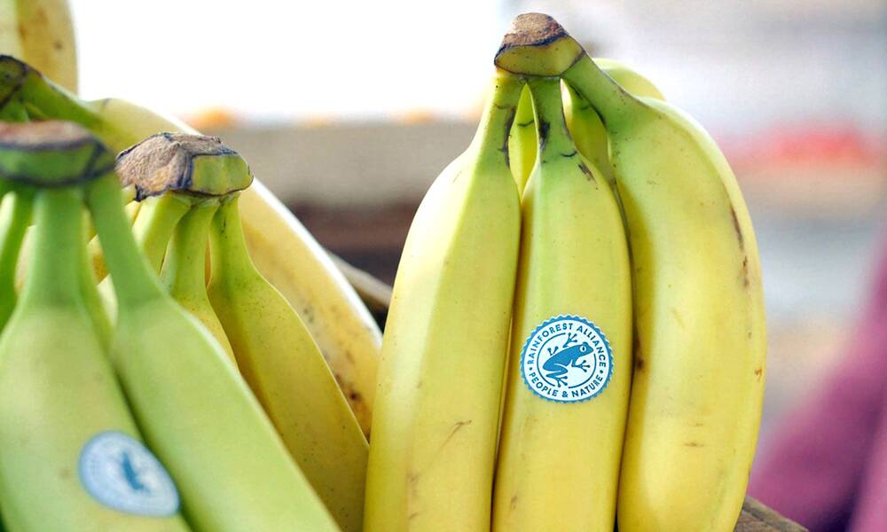 Labels alimentaires – Labels environnementaux et controverses – Enquête – UFC-Que Choisir