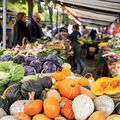 Marchés ou grandes surfaces •
Lesquels sont les moins chers ?