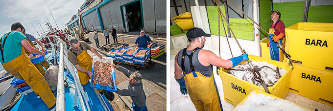 reportage peche ouv