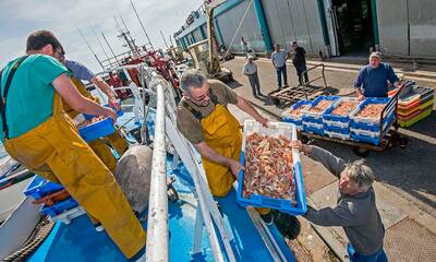 Pêche durable Au Guilvinec, le chalut est roi