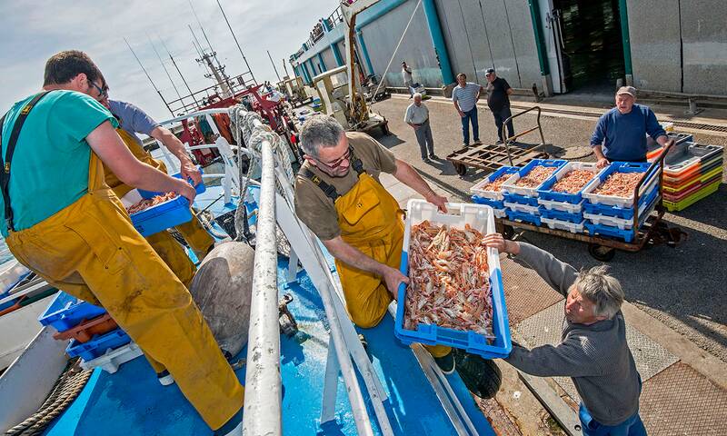 Pêche durable Au Guilvinec, le chalut est roi