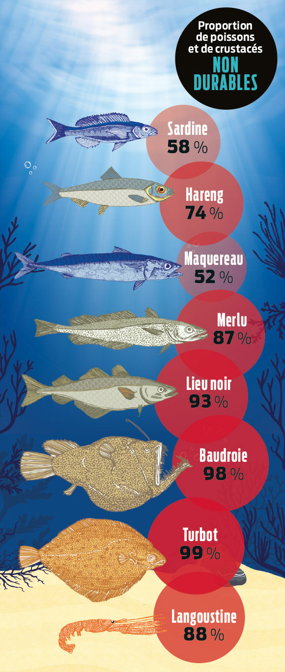 infographie peche especes menacees