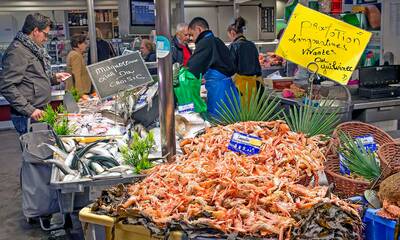 Pêche durable Des poissons mal étiquetés et trop peu durables