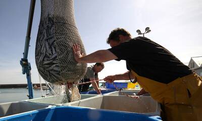 Pêche durable Mieux pêcher et mieux acheter pour sauver l'océan
