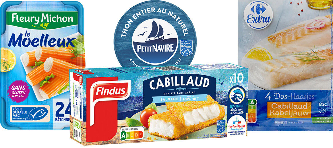 Pêche durable - Peut-on se fier au label MSC ?