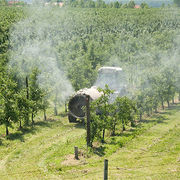 Pesticides Les pommiers à l’épreuve