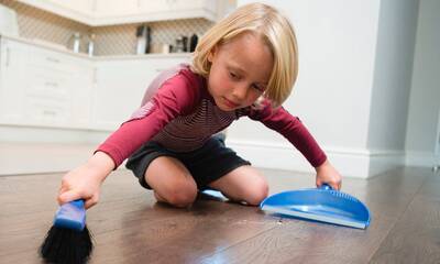 Poussières domestiques Chargées de composés toxiques