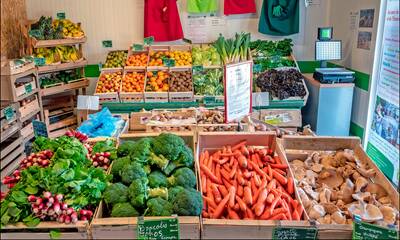 Prix du bio Plus cher chez les spécialisés, sauf pour les fruits et légumes