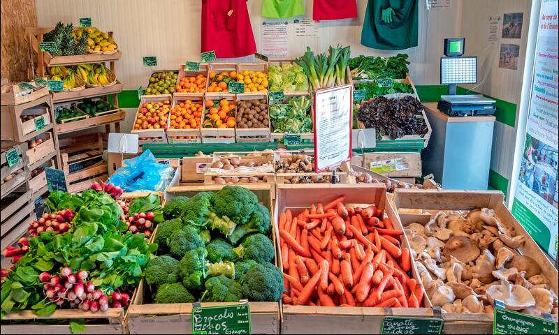 Prix du bio Plus cher chez les spécialisés, sauf pour les fruits et légumes