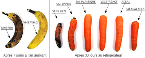 Test labo sacs de conservation fruits et légumes