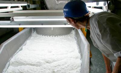 Sucre Des lois plus salées pour contrer les excès