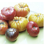 Tomates anciennes Quelle salade !