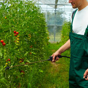 Traitements bio Toxiques naturellement
