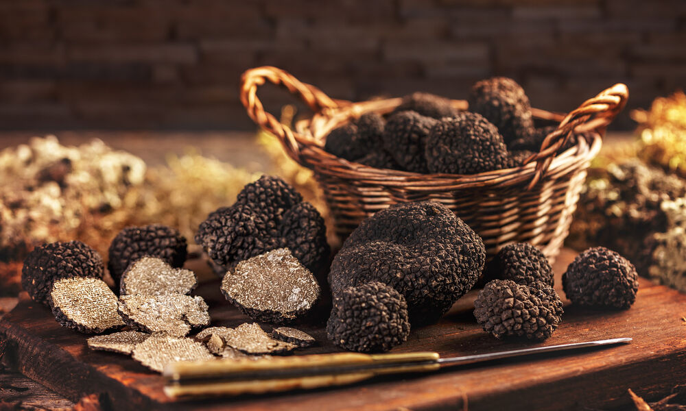 Truffe – Le véritable prix de l’or noir – Enquête – UFC-Que Choisir