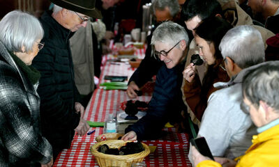 Truffe Les marchés de producteurs vous tendent les bras