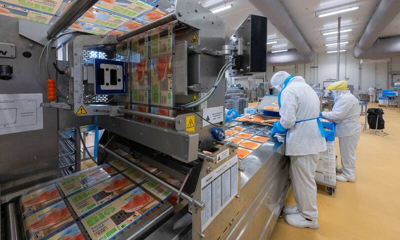 Truites et saumons fumés En quantité industrielle