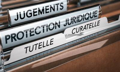 Tutelle et curatelle - Faut-il confier un proche à un tuteur professionnel ?