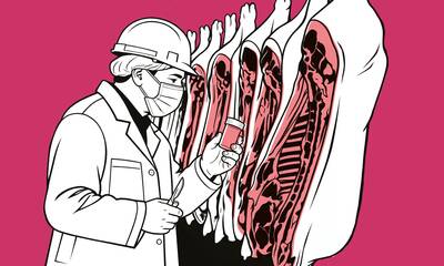 Un trafic de médicaments vétérinaires de grande ampleur épinglé