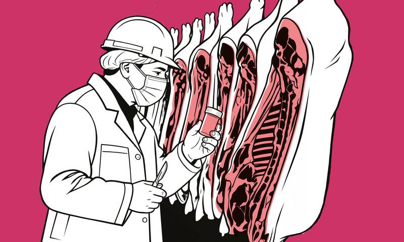 Un trafic de médicaments vétérinaires de grande ampleur épinglé