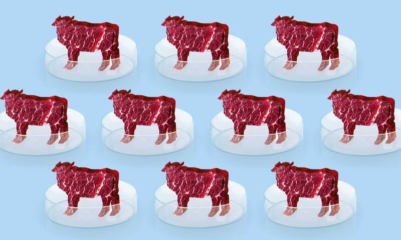 Viande in vitro - Adieu veau, vache, cochon…