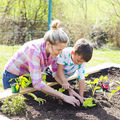 Un jardin potager pour le plaisir