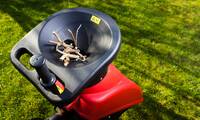 Broyeur de végétaux Bien choisir son broyeur de végétaux