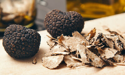 Truffes Bien choisir sa truffe